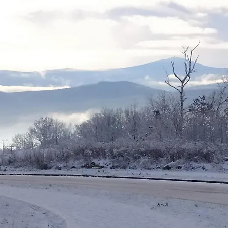 Muzyczny * Jelení Hora