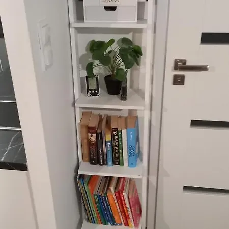 Apartamento Muzyczny