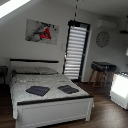 Apartment Muzyczny *