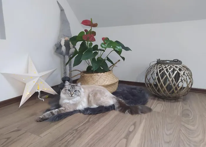 Muzyczny Διαμέρισμα Jelenia Góra