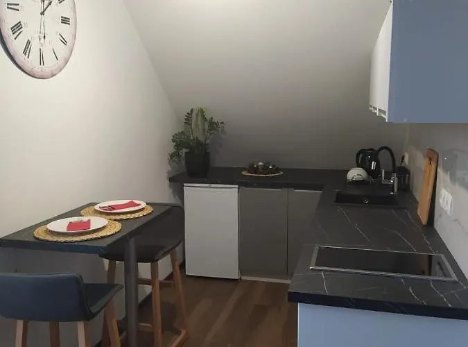 Διαμέρισμα Muzyczny *