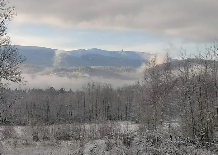 Διαμέρισμα Muzyczny